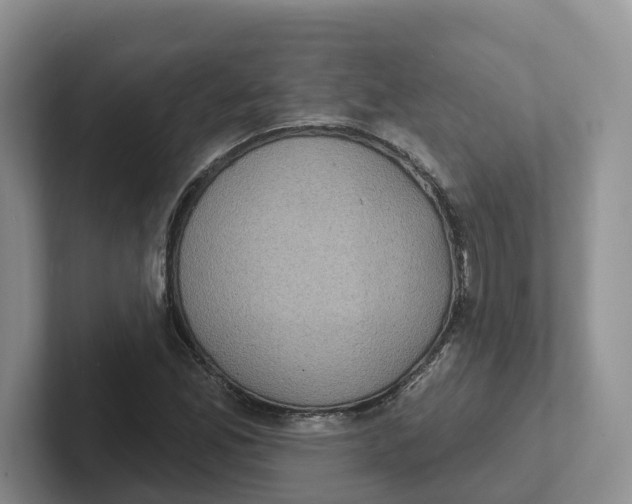 X0000101701165200807311426