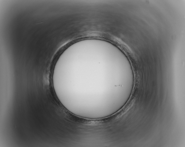 X0000101701166200807311426