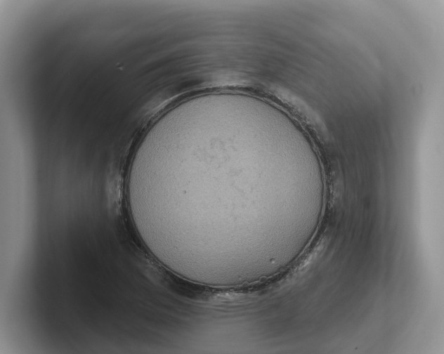 X0000101701169200807311426