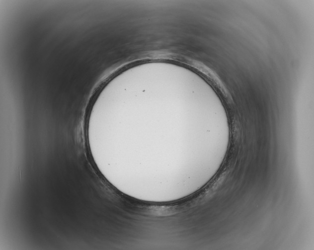 X0000101701176200807311426