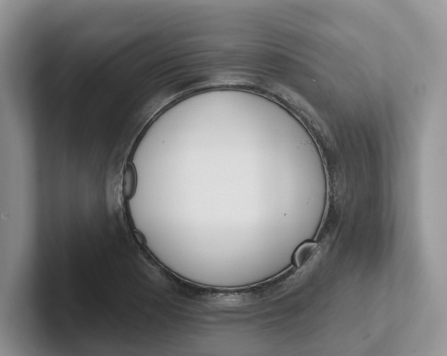 X0000101701177200807311426