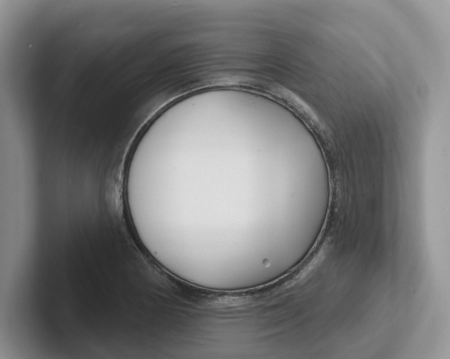 X0000101701178200807311426