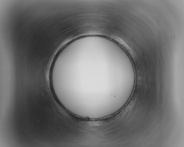 X0000101701181200807311426