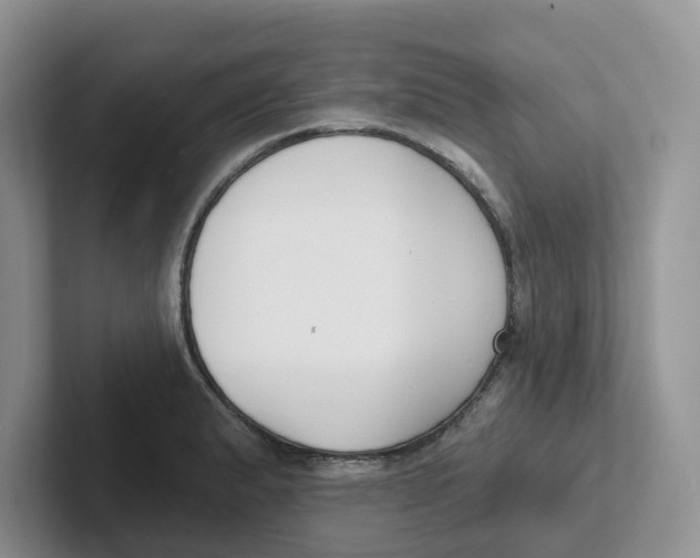 X0000101701183200807311426