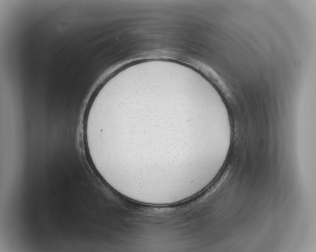 X0000101701184200807311426