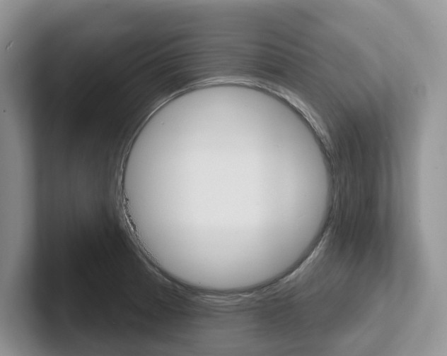 X0000101701185200807311426