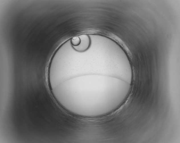 X0000101701186200807311426