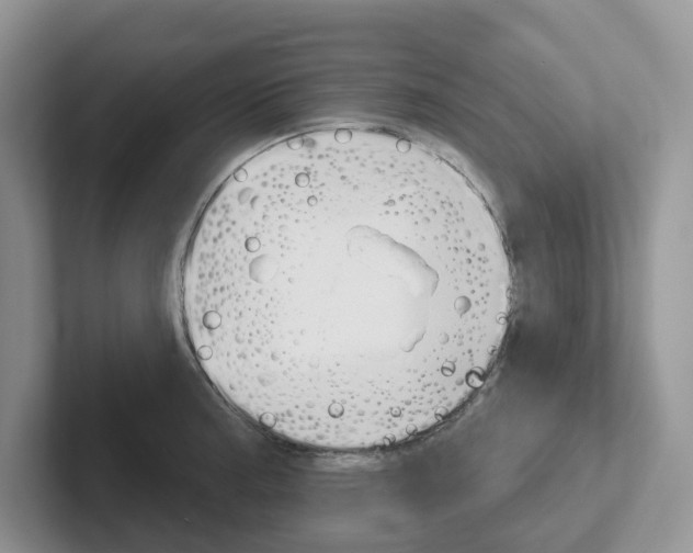 X0000101701187200807311426