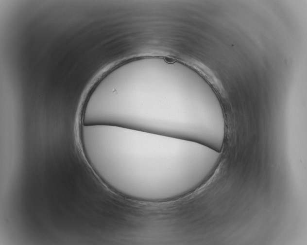 X0000101701188200807311426