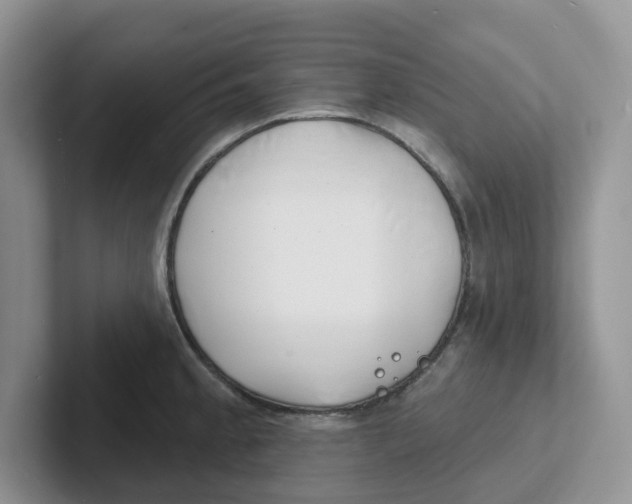 X0000101701189200807311426