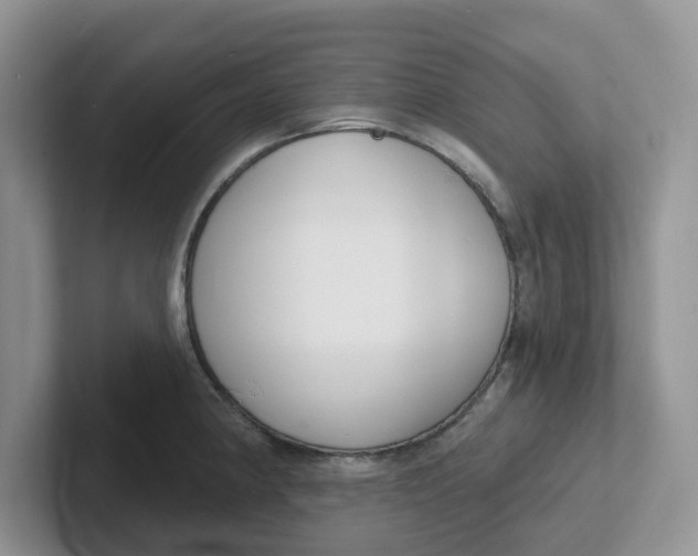 X0000101701190200807311426