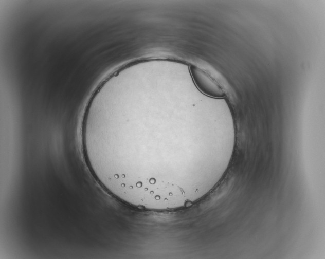 X0000101701191200807311426