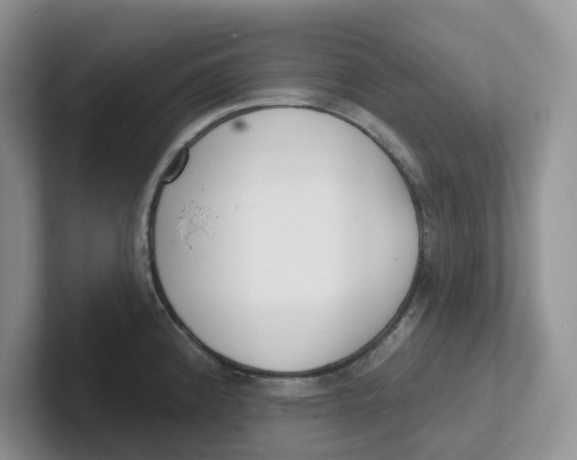 X0000101701192200807311426