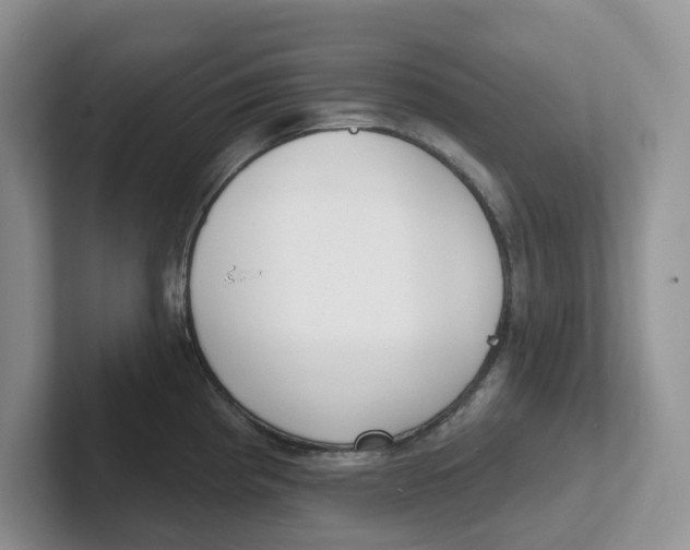 X0000101701193200807311426