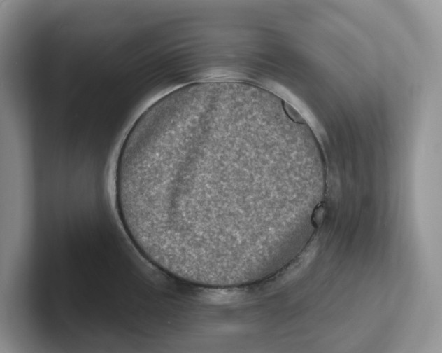 X0000101701195200807311425