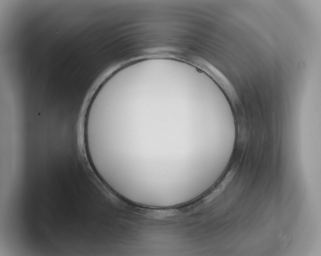 X0000101701196200807311425