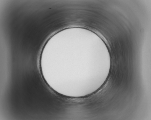 X0000101701197200807311425