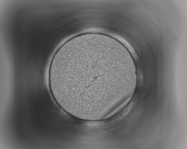 X0000101701199200807311425