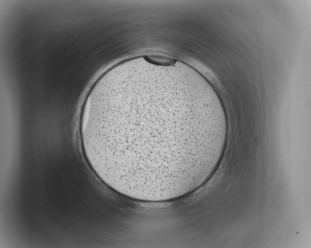 X0000101701200200807311425