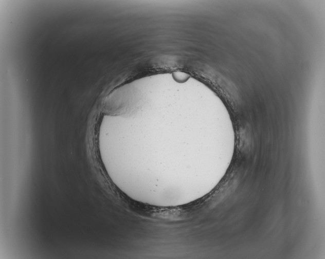 X0000101701201200807311425