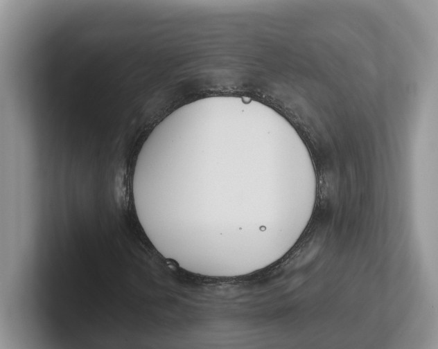 X0000101701202200807311425