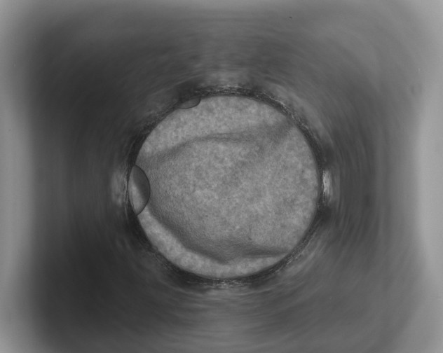 X0000101701203200807311425