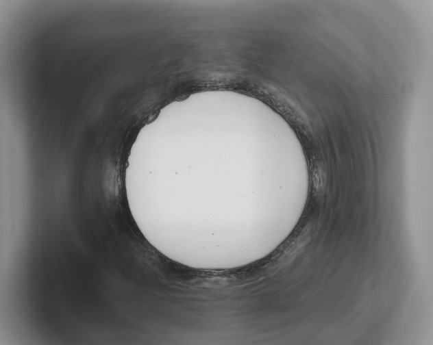 X0000101701204200807311425