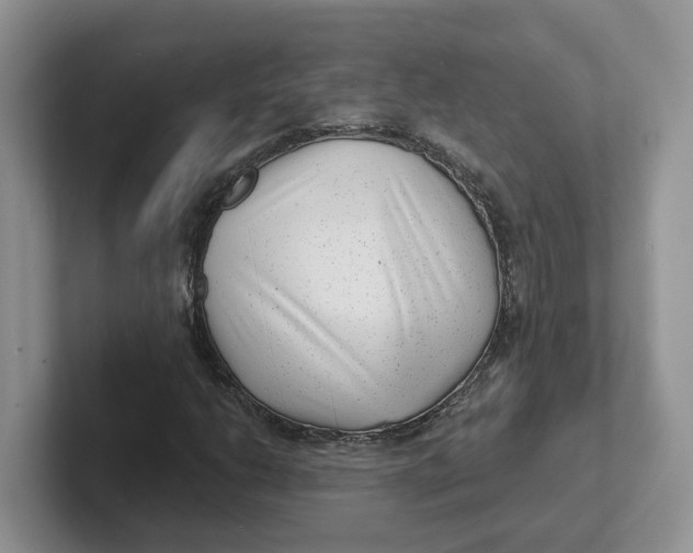 X0000101701206200807311425