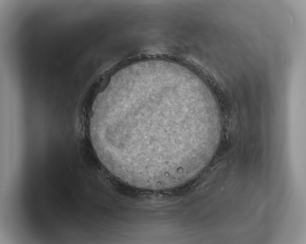 X0000101701207200807311425