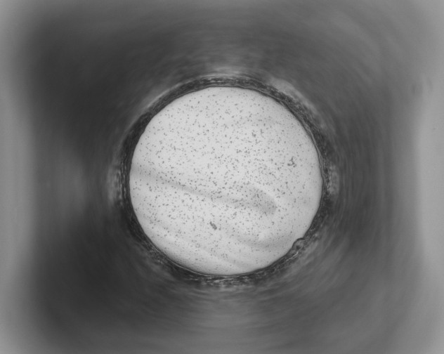 X0000101701208200807311425