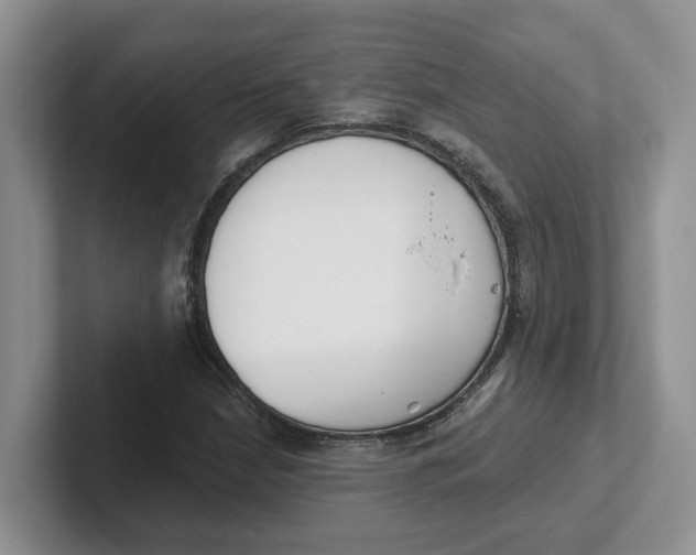 X0000101701210200807311425