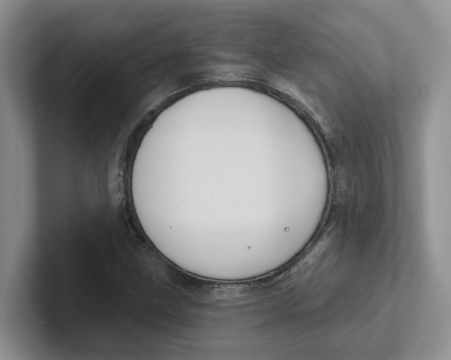 X0000101701211200807311425