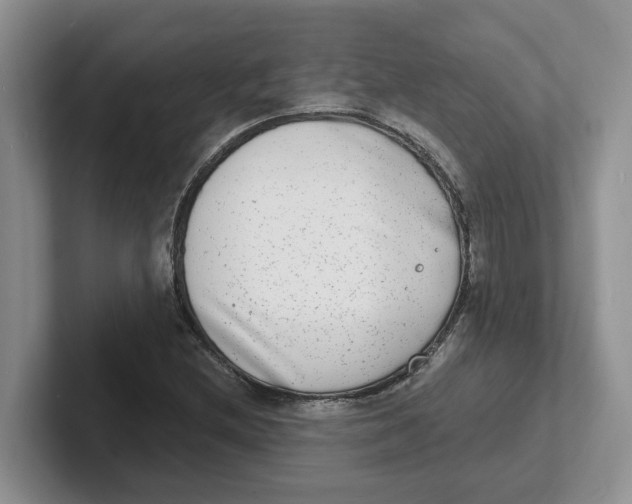 X0000101701212200807311425