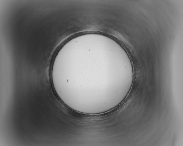 X0000101701216200807311425