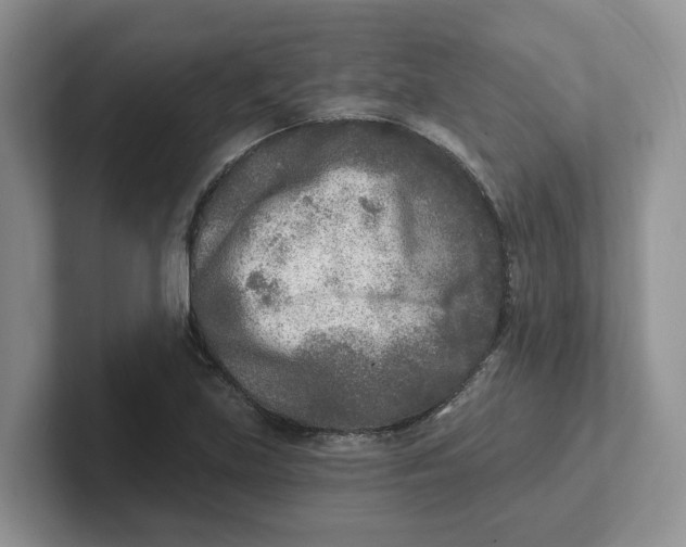 X0000101701219200807311425