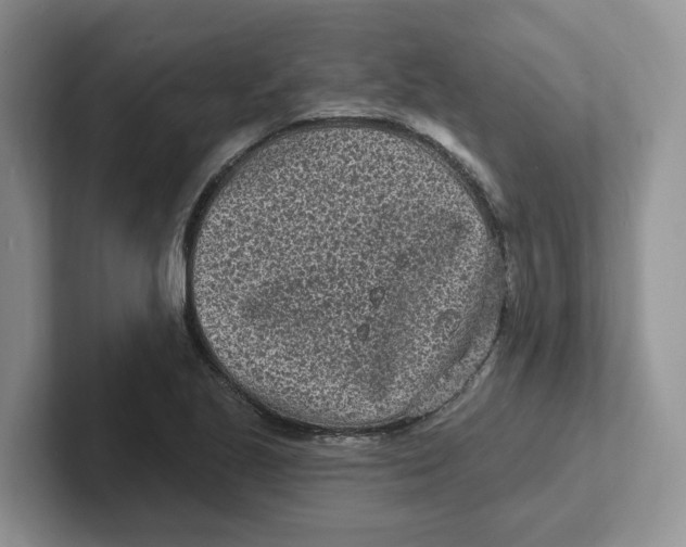 X0000101701221200807311425