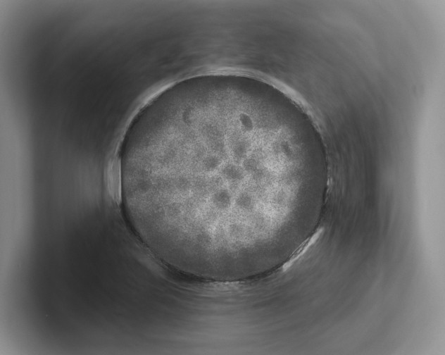 X0000101701223200807311425