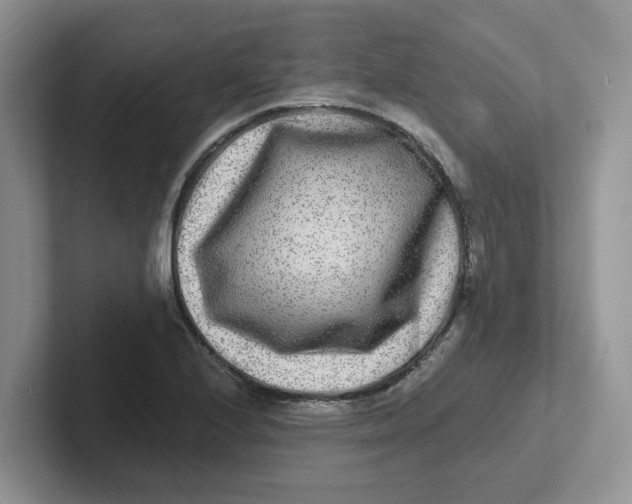 X0000101701224200807311425