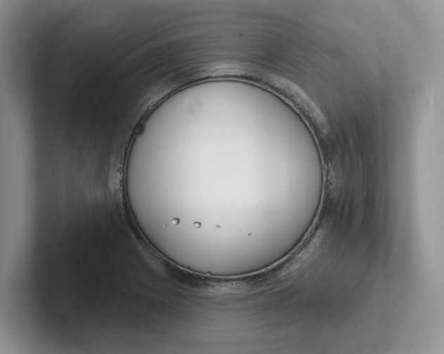 X0000101701225200807311425