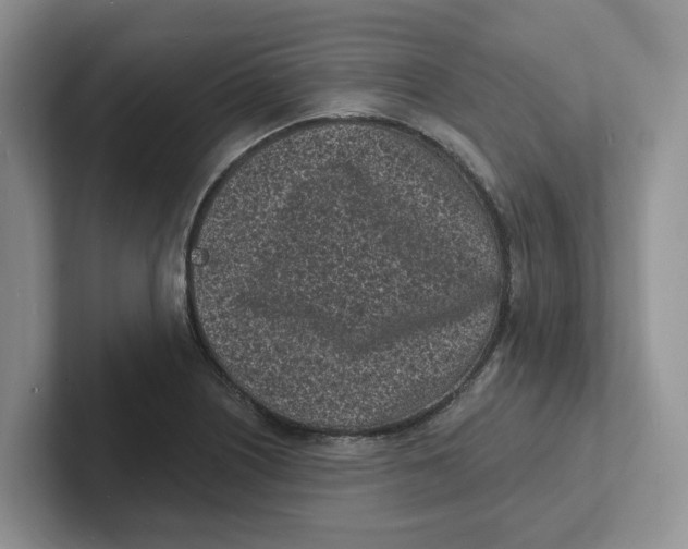 X0000101701226200807311425