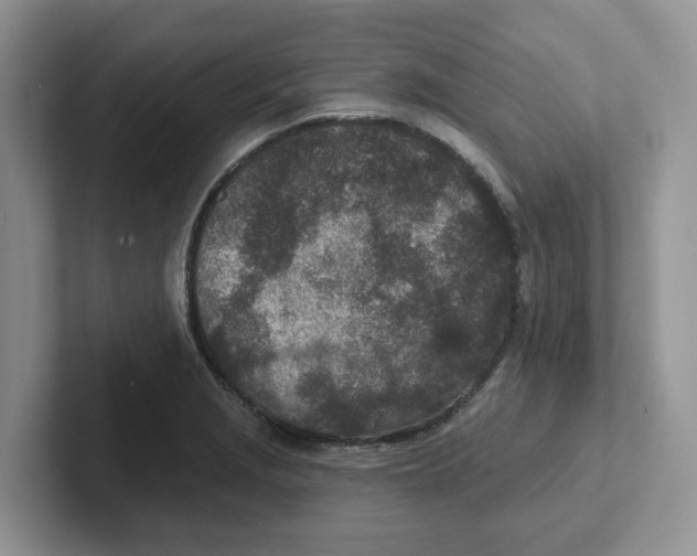 X0000101701229200807311425