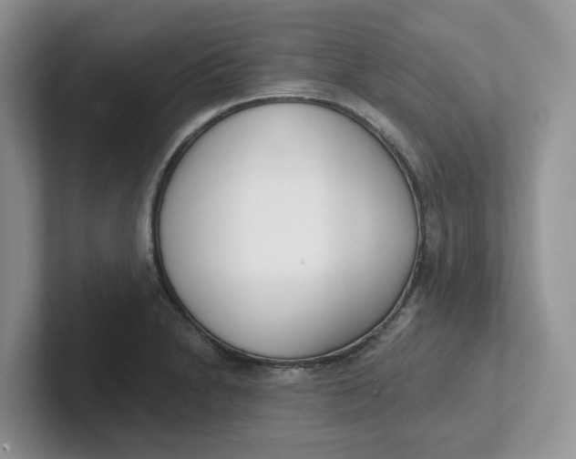 X0000101701230200807311425