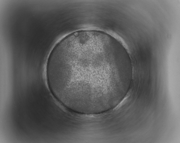 X0000101701231200807311425