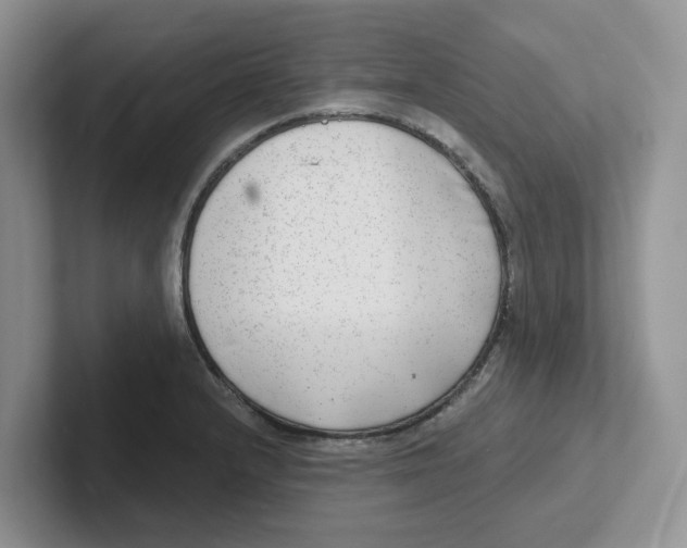 X0000101701232200807311425