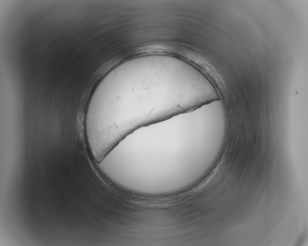 X0000101701233200807311425