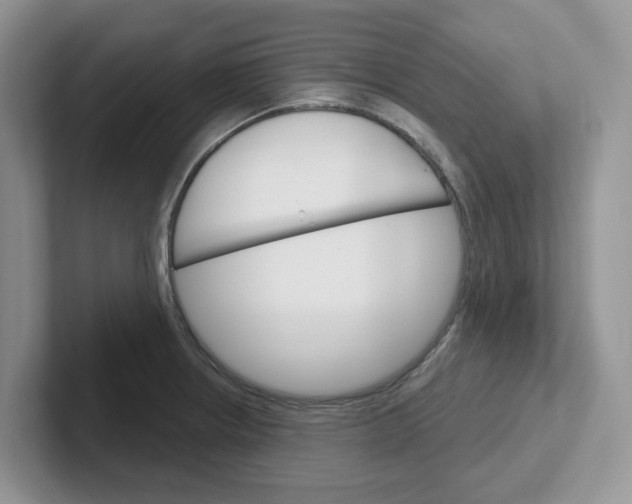 X0000101701234200807311425