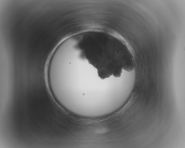 X0000101701235200807311425