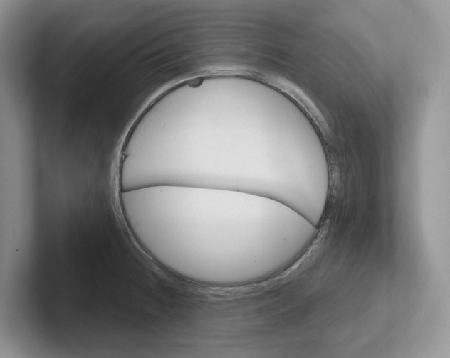 X0000101701236200807311425