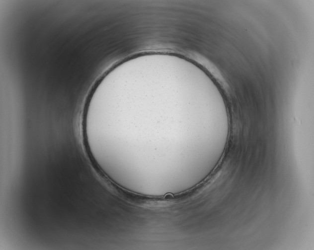 X0000101701237200807311425