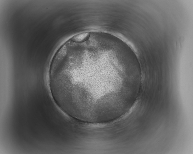 X0000101701239200807311425